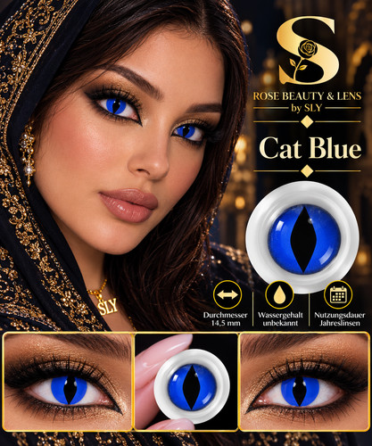 Blue cat katze blauen - katze,