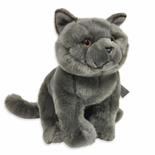 Faithful friends britisch blau - friends,
