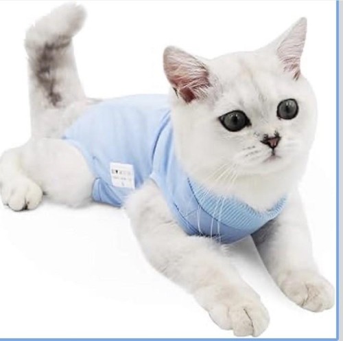 Blauer katzen erholungsanzug - blauer, katzen-erholungsanzug