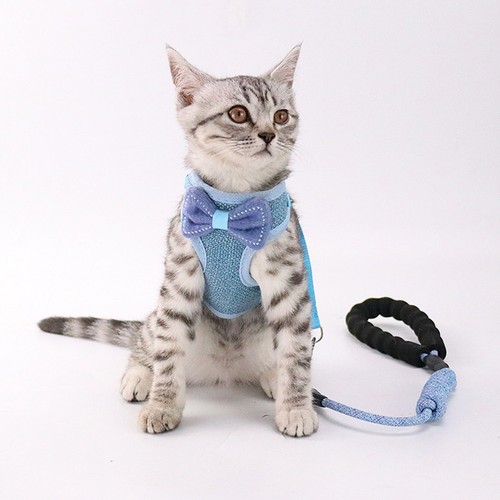 Durable blue cat - durable,