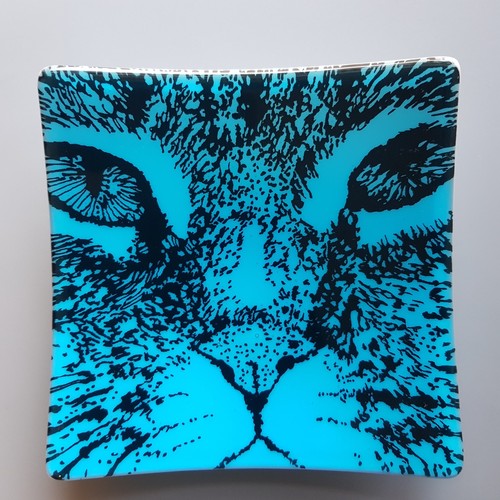 Aqua blau katzengesicht glas - aqua,