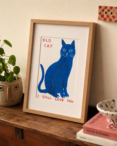 David shrigley old cat - shrigley,