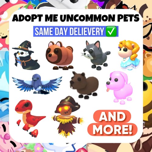 Adopt all uncommon - uncommon, pets