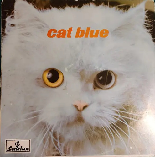 Cat blue - blue,